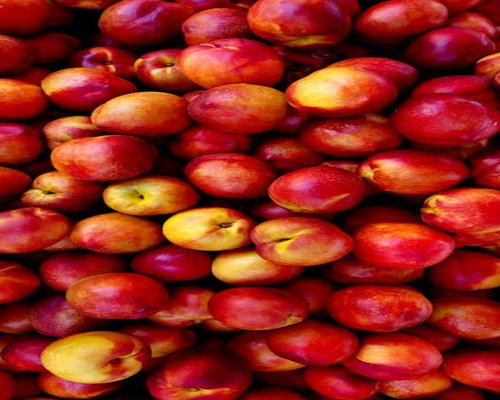 Basket of fresh tropical fruits and healthy organic food